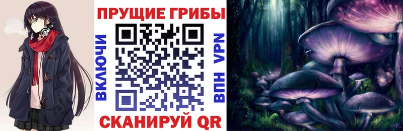 Псилоцибиновые грибы Psilocybe  Купить где  Краснослободск 